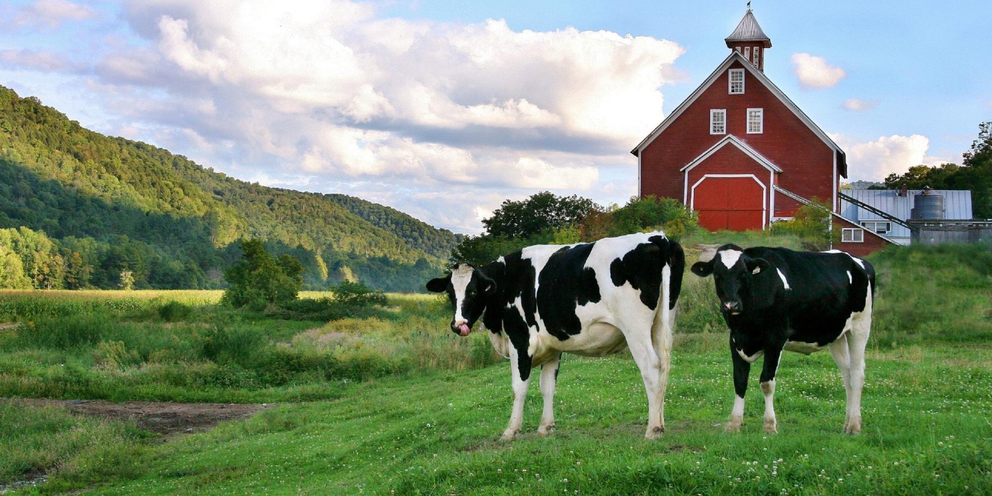Interior of Harrison Estates Farm